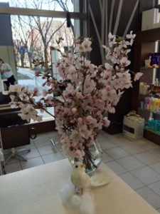 桜★