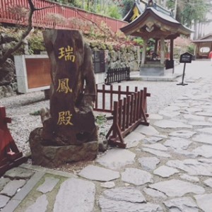 2017年