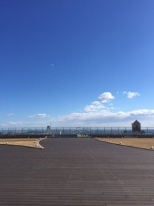 ある日の休日・・・