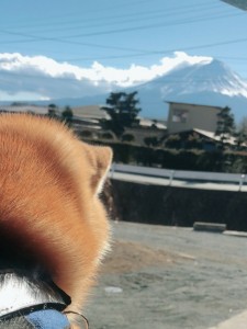 1月