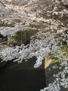 4月