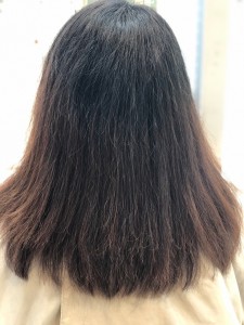 先日のお客様
